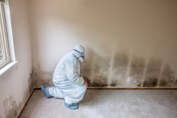 Mold Remediation for Rental Properties in Norwalk, OH